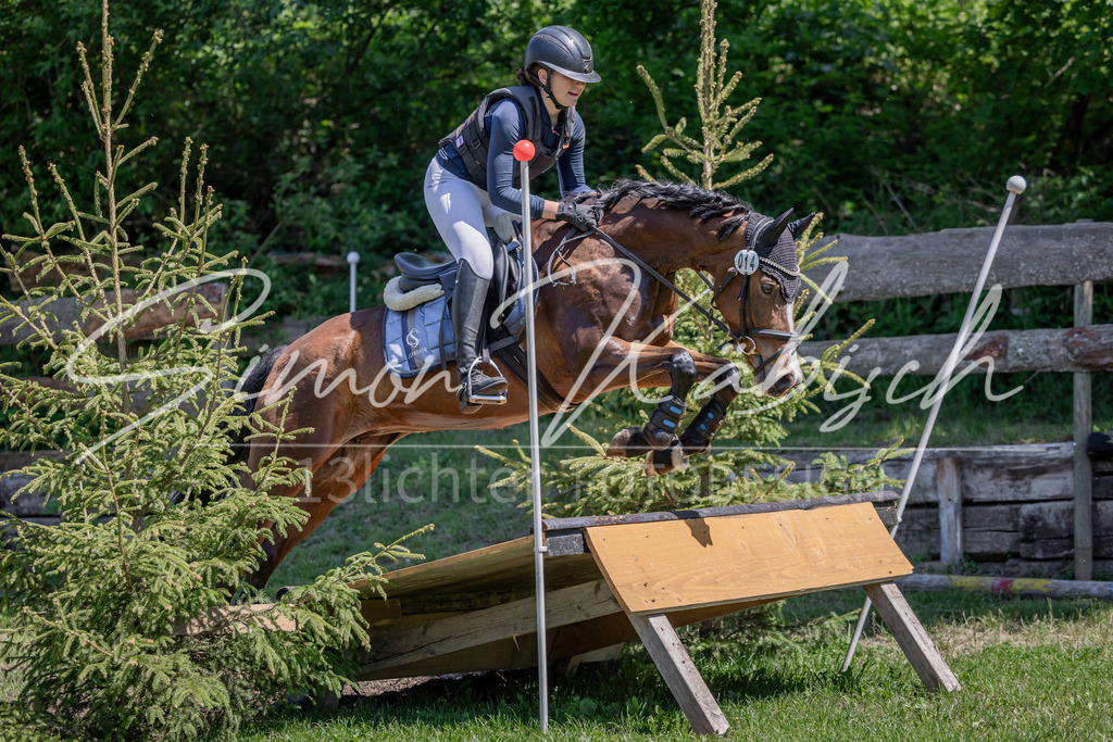 20260523-_3LI8140 | Tierfotografie Pferde, Hunde, Katzen, Haustiere.
Turnierfotografie Reitturniere, Reiten, Springreiten, Dressur in Hanau, dem Main-Kinzig-Kreis und dem Rhein-Main- Gebiet um Frankfurt