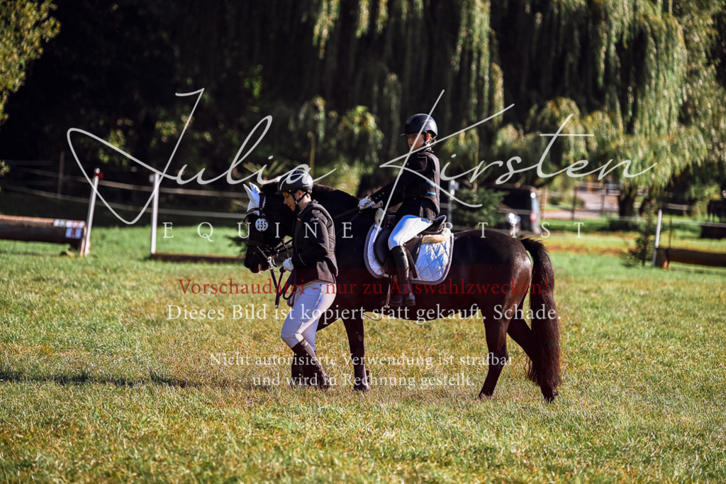 DSC_0350 | Pferde- und Turnierfotografie in Westsachsen. Pferdeportraits, Auftragszeichnungen und intuitive Kunst.