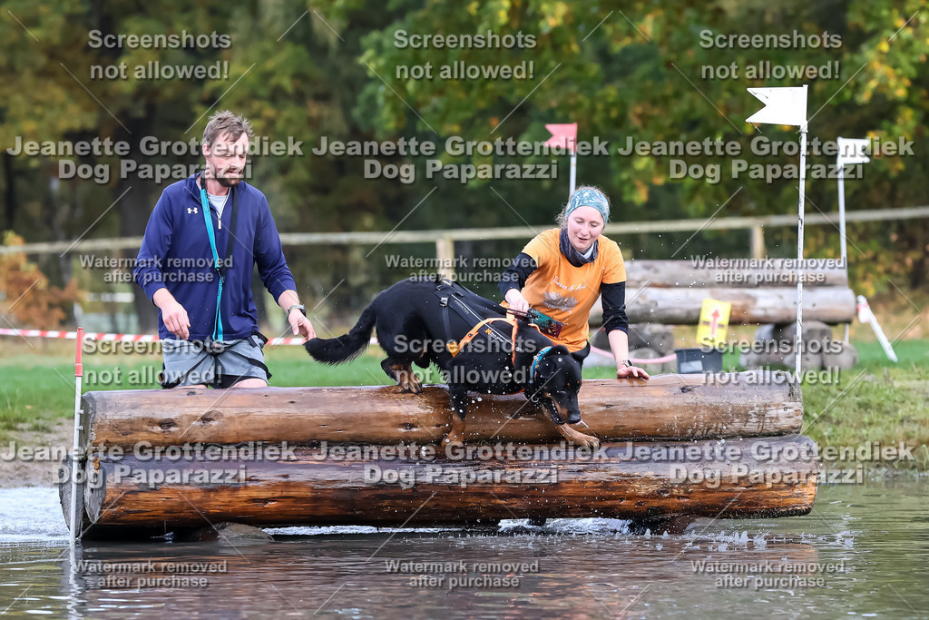 Dog Paparazzi - Strongdog 10-25-6680 | Dog Paparazzi Jeanette Grottendiek Fotografie & Videografie - Realisiert mit Pictrs.com