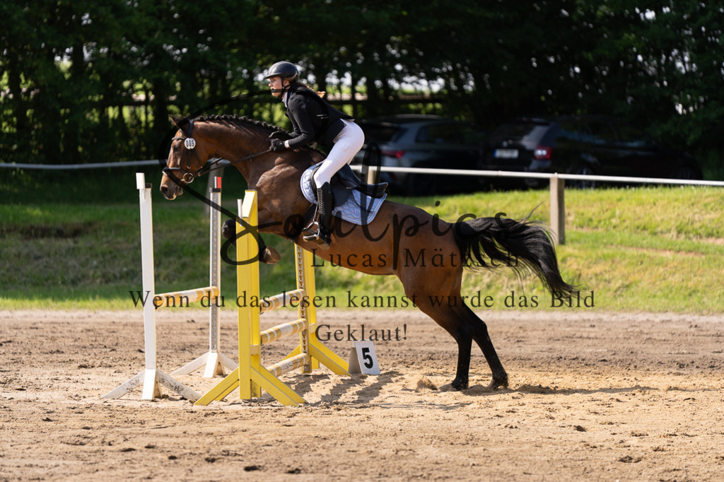 A7507320 | Turnier/Reitfotograf