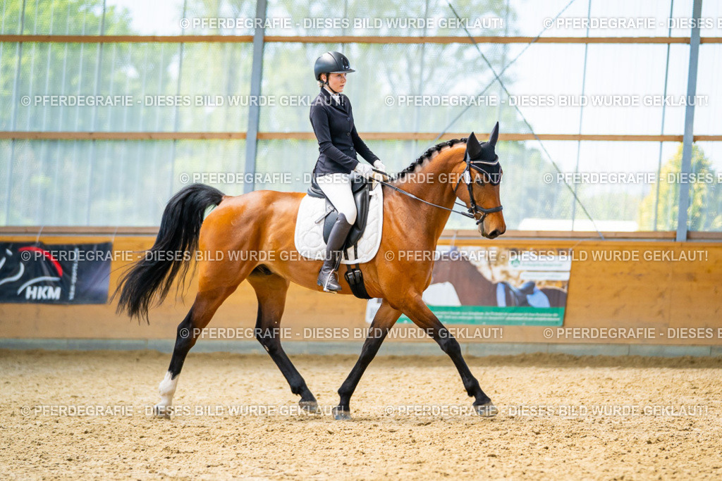 DSC09248 | Pferdegrafie