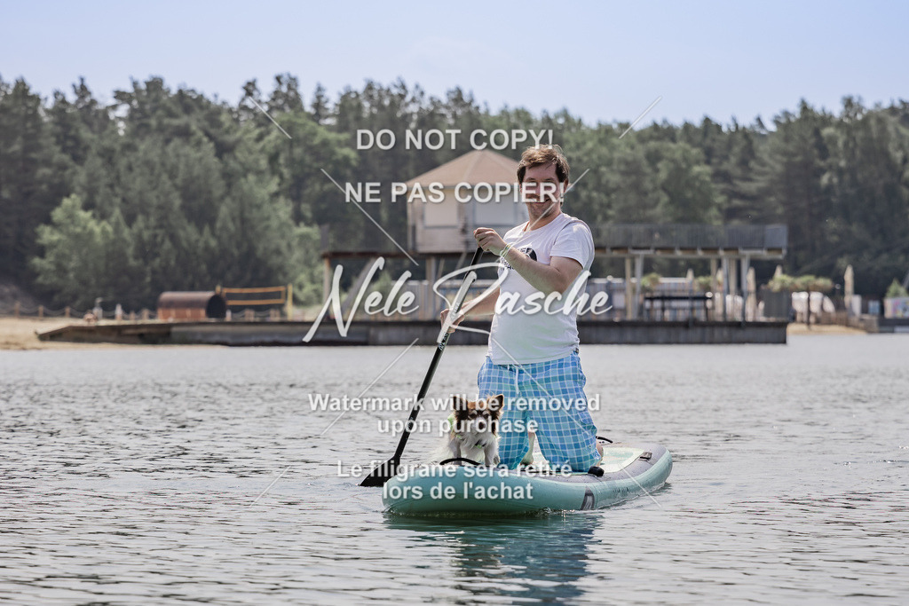 BUHU_SUP_586 | nelerasche
