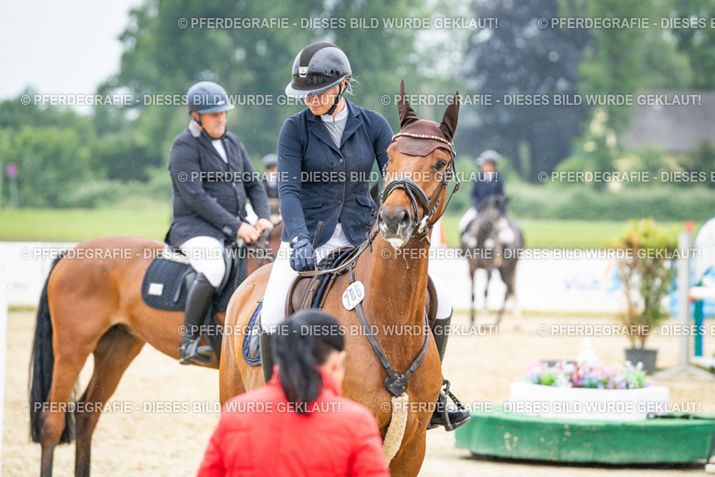 DSC01014 | Pferdegrafie