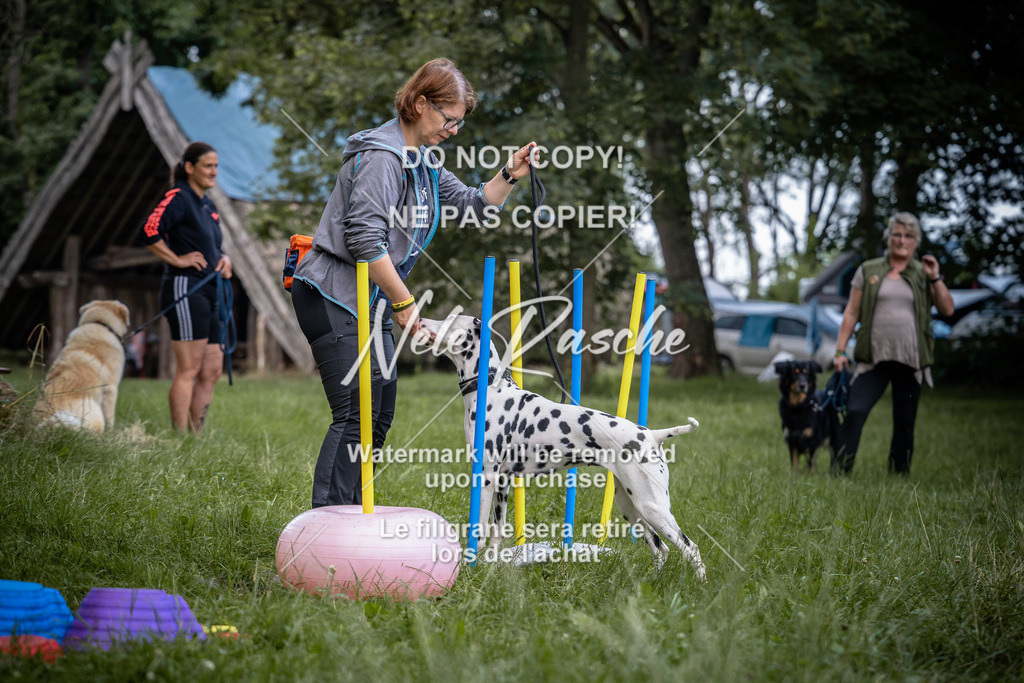 nelerasche_SoEarlyDog_105 | nelerasche