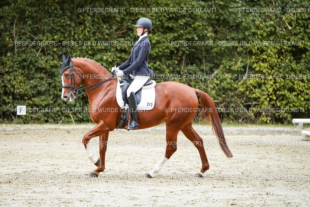 DSC00858 | Pferdegrafie