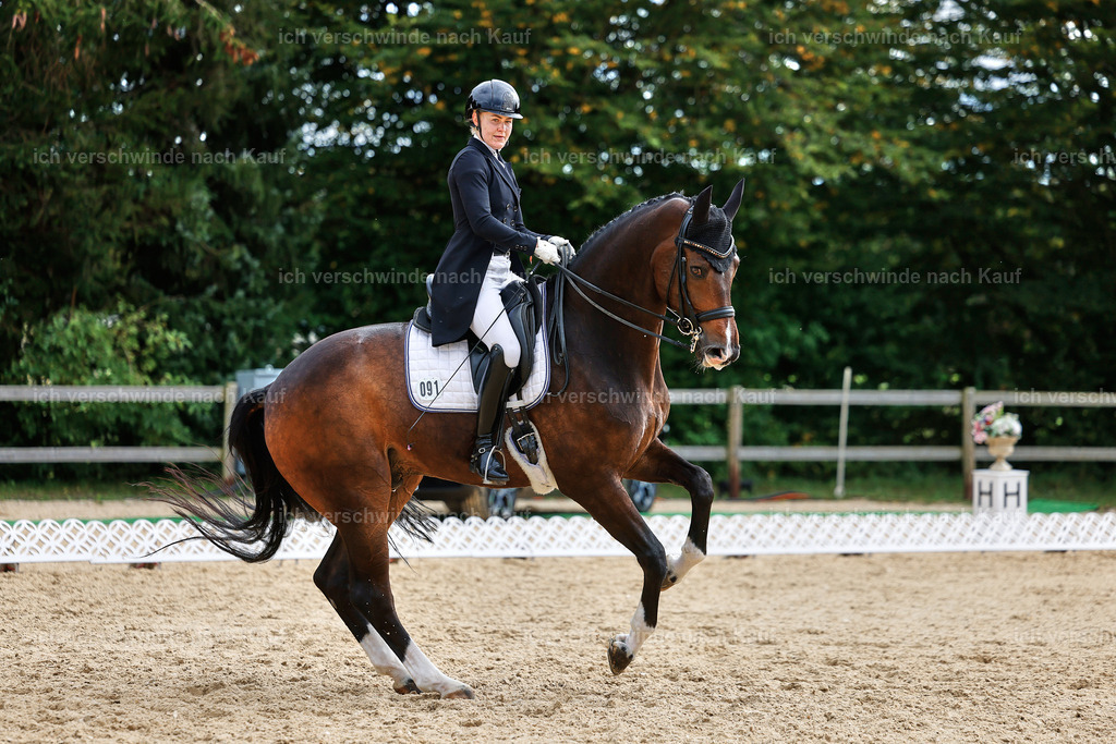 11-091-Dressur S___-StoibPH-1290 | working equitationturnier fotograf videograf stoibphotography marixx film working equitation deutschland reitsport turnierfotografie eventfotografie equestrian events