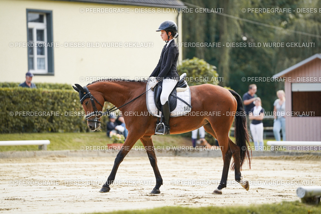 DSC05429 | Pferdegrafie