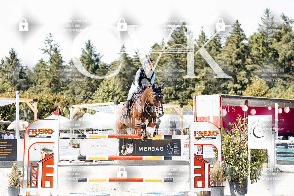 CK905012 | Turnierfotografie Pferdefotografie Trier Rheinland-Pfalz Pferdesport Reitsport Tierfotografie Sportfotografie Pferdevideo Pferdevideografie Equestrianvideography equestrianphotography  - Realisiert mit Pictrs.com