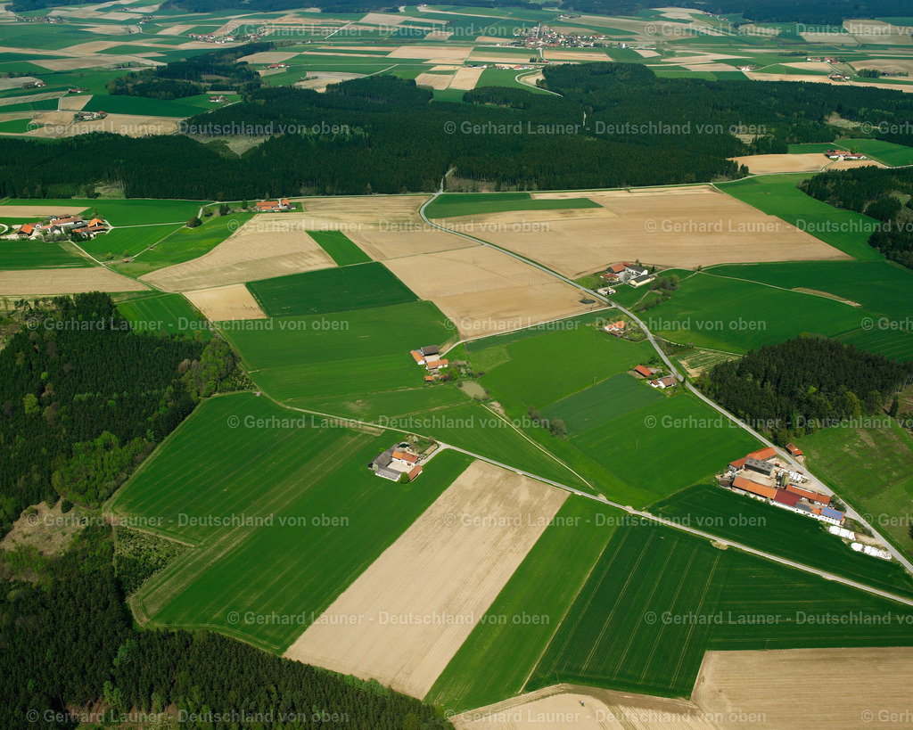 2519040 | Sondergai, Leiblfing