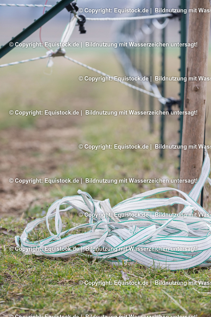 _TPD0945 | equistock