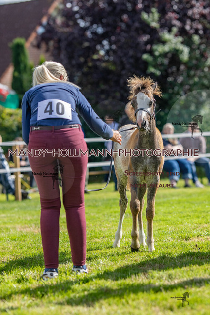 IG WELSH VM 2024-164 | mandyhollmannphotographie