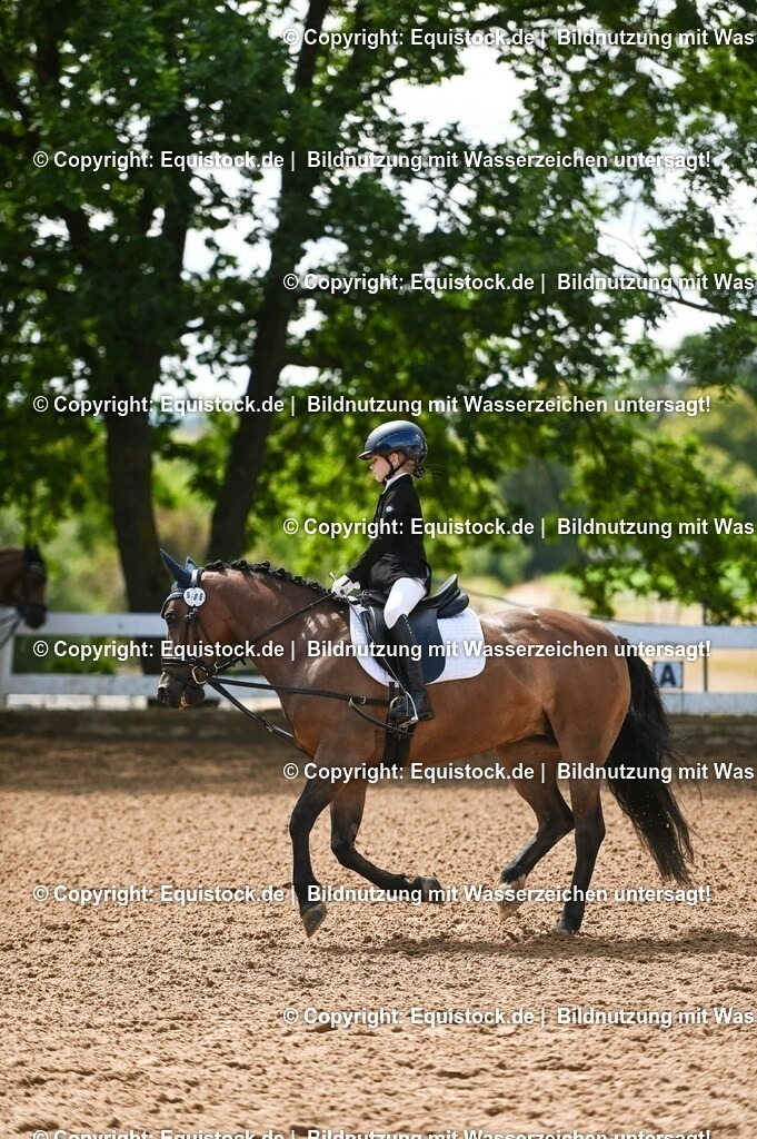 20230716_10-3_Reiter-WB Schritt - Trab - Galopp_0058 | equistock