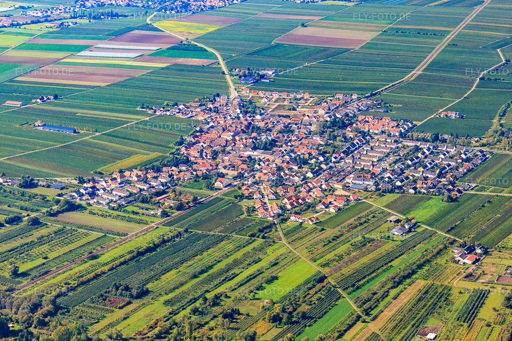 Luftbild: Dorfansicht aus Nordosten in Ellerstadt im Bundesland Rheinland-Pfalz in Deutschland. Foto: IMG_34433.jpg vom 03.10.2010 durch Werner Riehm/FLY-FOTO.de