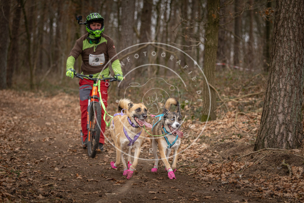 Pfotenfotografie_DV3A6714 | Hundefotografie, Tierfotograf, Pfotenfotografie, Fotoshooting Hund, Hunde Portrait, Hundesport, Hundeportraits, Heideshooting, Hunde, Sportfotograf, Hundefotograf, Turnierhundsport, THS,  - Realisiert mit Pictrs.com