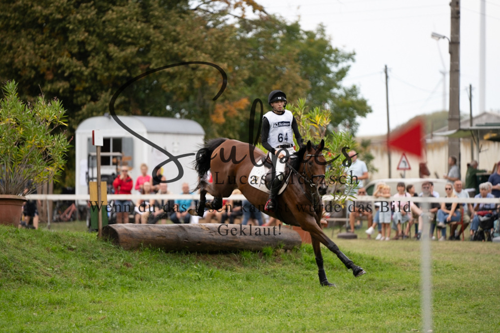 A7V03692 | Pferdefotograf