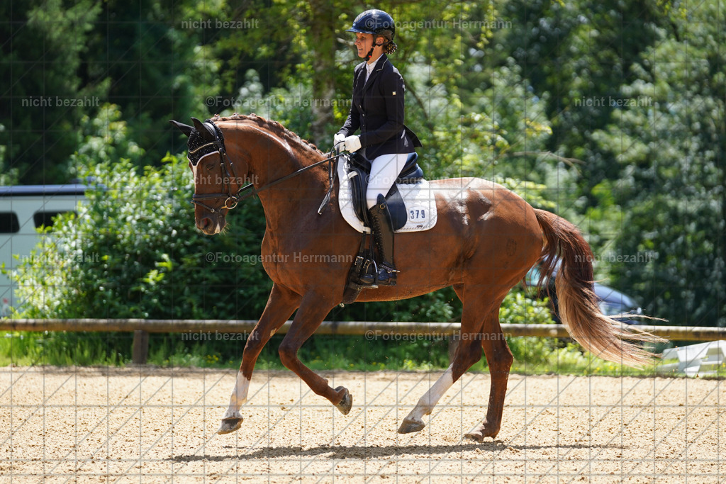 20240705-FAH03826 | Turnierbilder von Grafing, Reitsportbilder, Turnierfotos, Turnierfotografen Bayern, Pferdefotograf, Fotoagentur Herrmann