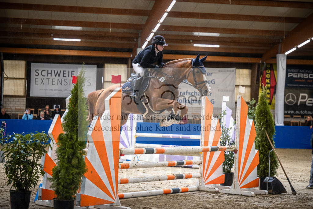 DOS_2383 | Entdecke hochwertige Reitturnierfotos von Foto Oger. Professionell, emotional und authentisch – jetzt Lieblingsmomente im Shop bestellen.Deutschlandweite Turnierfotografie. - Realisiert mit Pictrs.com