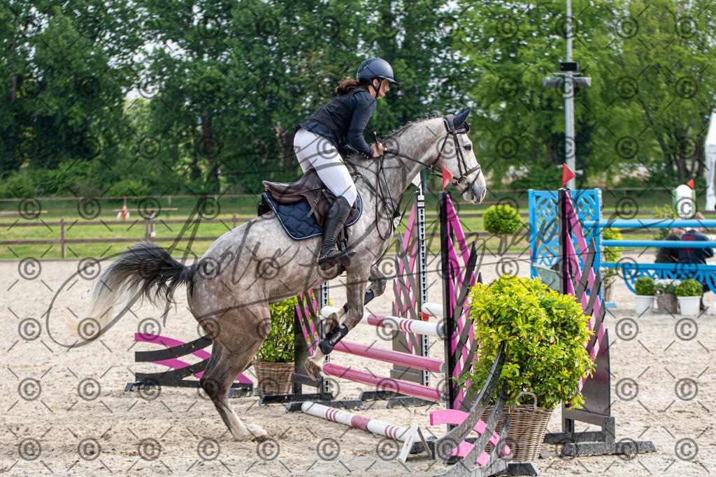 KPT_2125 | andre_photographic