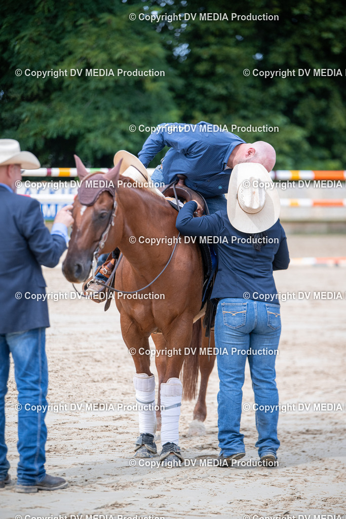 ZS3_5462 | dv-media-shop - Realisiert mit Pictrs.com