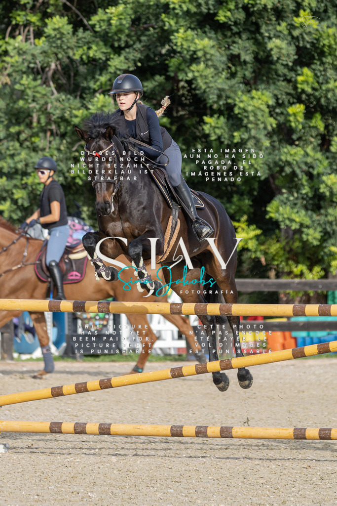 IMG_4434 | s-jay-photography - Realisiert mit Pictrs.com