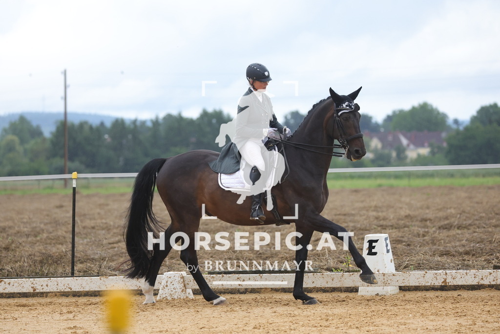 0P6A1826 | Willkommen bei Brunnmayr - Design & Fotografie – Ihrem Spezialisten für Reitturniere und Pferdeveranstaltungen in Oberösterreich, Salzburg und Bayern! Seit über 17 Jahren sind wir leidenschaftlich dabei.