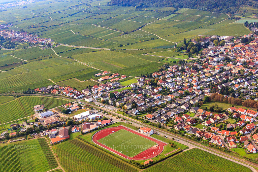 Luftbild: Sportplatz des TuS 1883 Wachenheim e.V. in Wachenheim an der Weinstraße im Bundesland Rheinland-Pfalz in Deutschland. Foto: IMG_34342.jpg vom 03.10.2010 durch Werner Riehm/FLY-FOTO.deWWW.TUS-WACHENHEIM.DE
