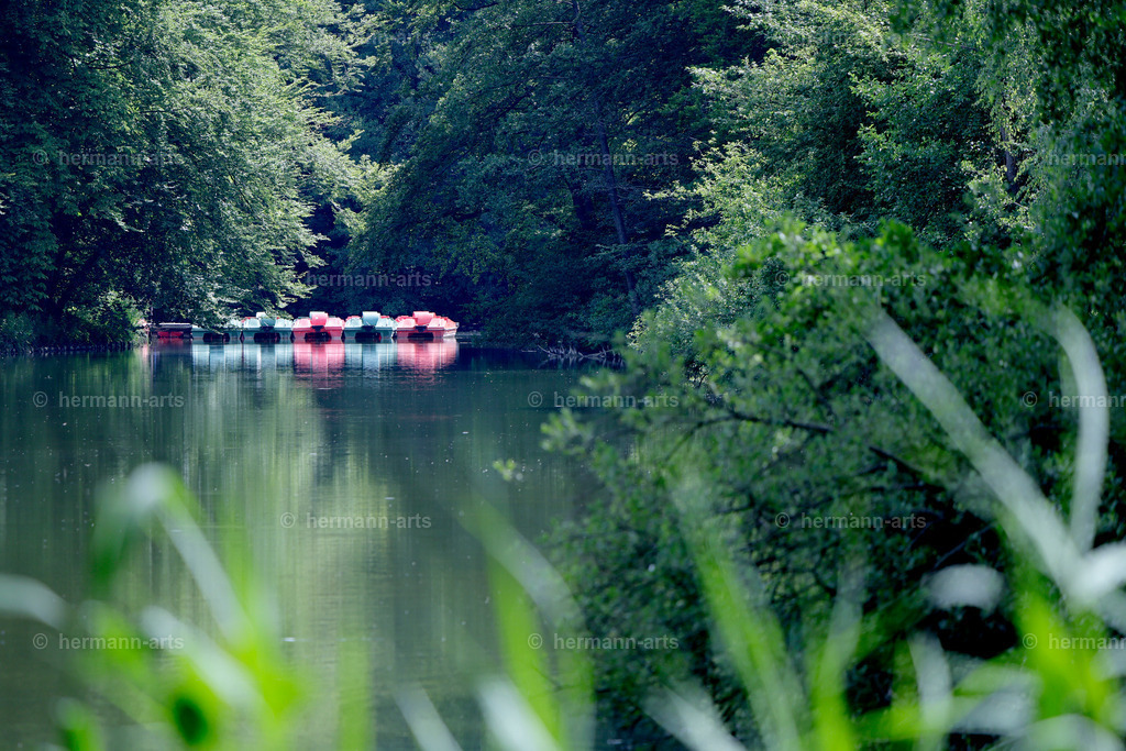 Bagno_09_07_24_DPP-82 | Photo Foto Kunst Art schwarzweiss Bilder Rheine Münster Berlin Blumen 
