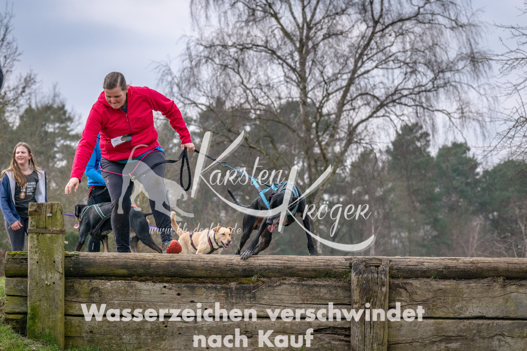 _ZZ92486 | kk-dogfotos