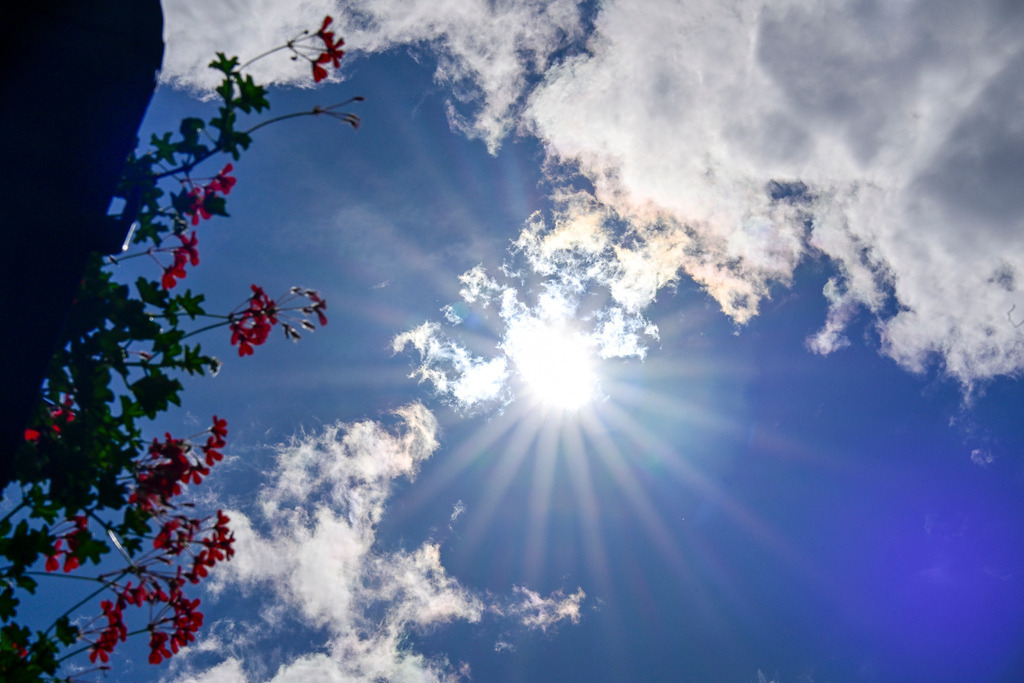 Lichtblick am Himmel: Ein Gruß voller Lebensenergie | Ein Anblick, der die Seele wärmt und den Blick nach oben lenkt: Wie ein funkelnder Stern bricht die strahlende Sommersonne durch die weichen Wolkenfetzen und wirft ihre majestätischen Lichtstrahlen über das tiefe Blau des Himmels. Am linken Bildrand wiegen sich zarte, rote Geranien im Gegenlicht, deren Blüten wie kleine Farbtupfer voller Lebensfreude in die Höhe ragen. Diese Aufnahme fängt das befreiende Gefühl eines perfekten Sommertages ein – ein Moment voller Hoffnung, Helligkeit und der puren Poesie der Natur, der den Alltag augenblicklich erhellt. - Realisiert mit Pictrs.com
