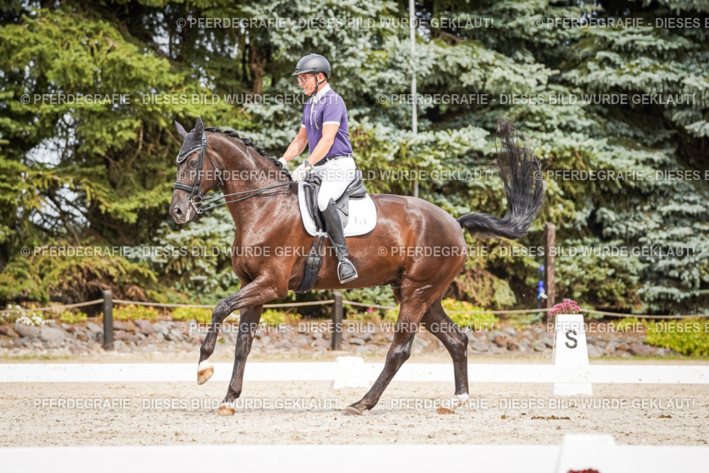 DSC06229 | Pferdegrafie