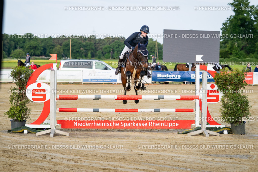 DSC01782 | Pferdegrafie