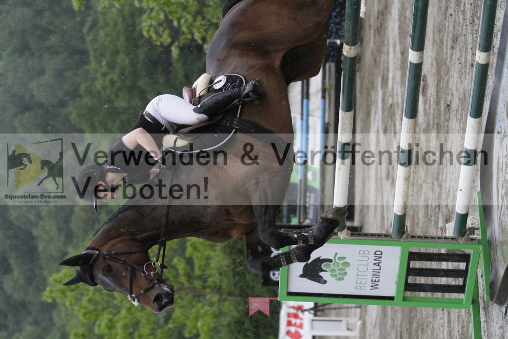 _MG_2646 | equestrian-live-com