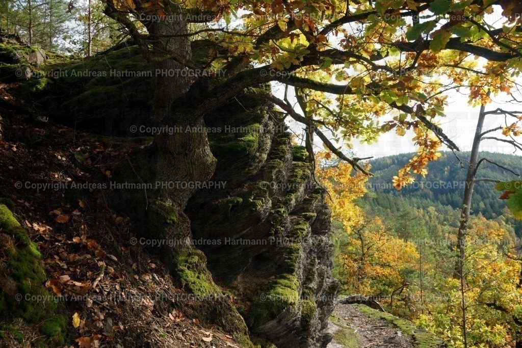 Elsterperlenweg | Elsterperlenweg - Realisiert mit Pictrs.com