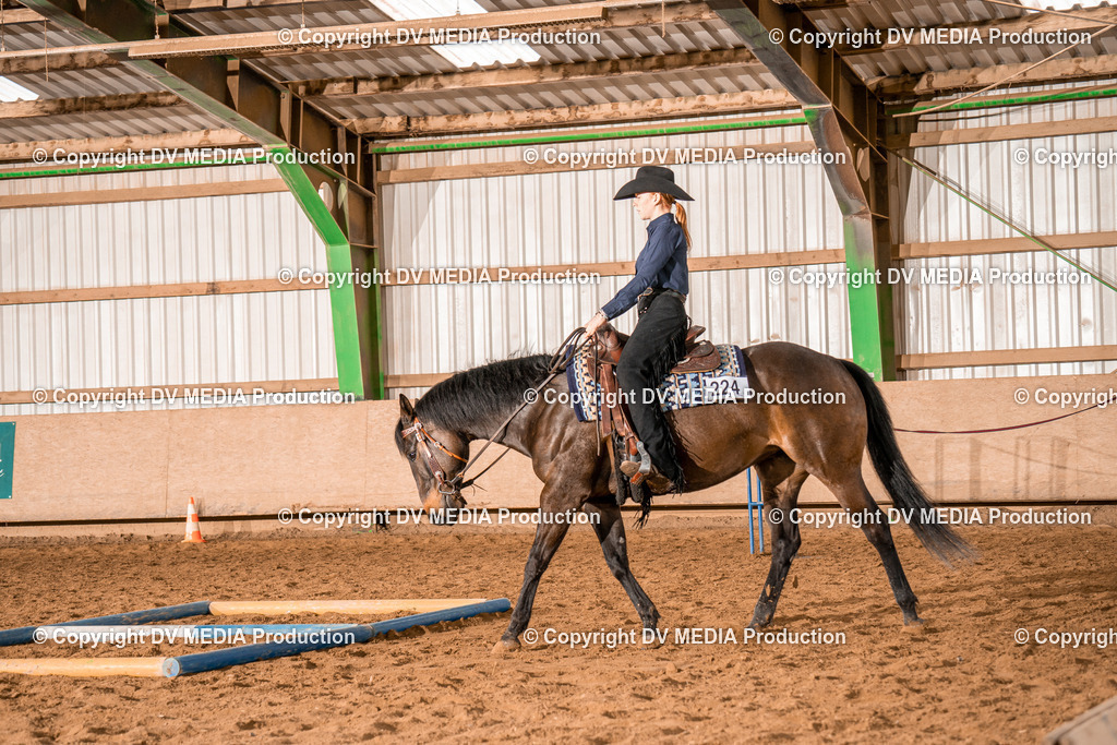 BAL00544 | dv-media-shop - Realisiert mit Pictrs.com