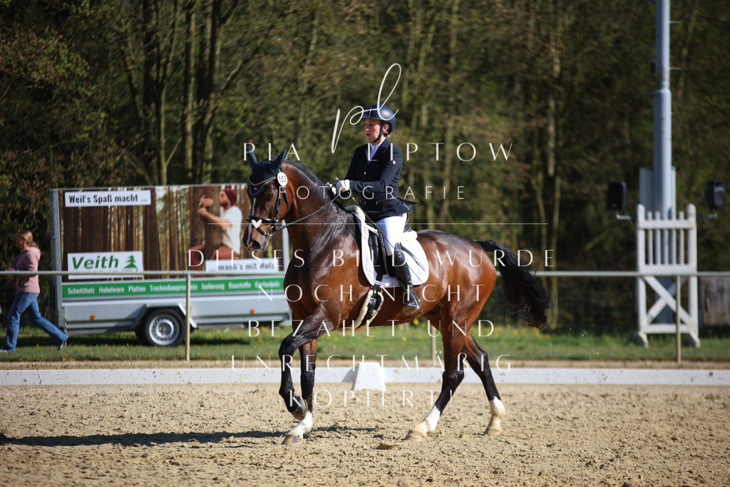 IMGT9087 | pl-fotografie