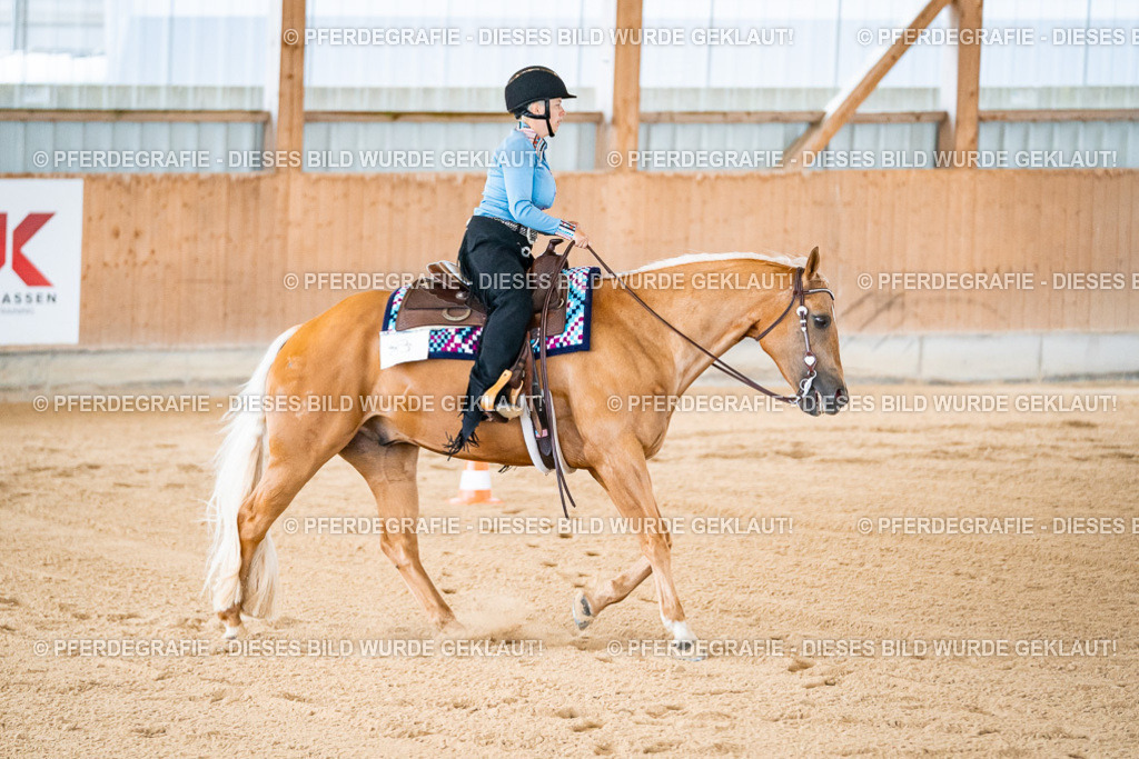 DSC01624 | Pferdegrafie