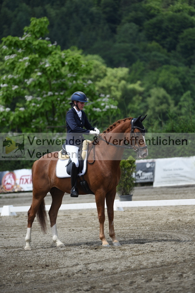 DSC_9370 | equestrian-live-com