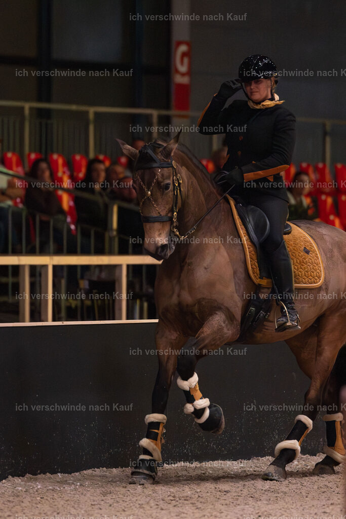 JoseraCup-54 | working equitationturnier fotograf videograf stoibphotography marixx film working equitation deutschland reitsport turnierfotografie eventfotografie equestrian events