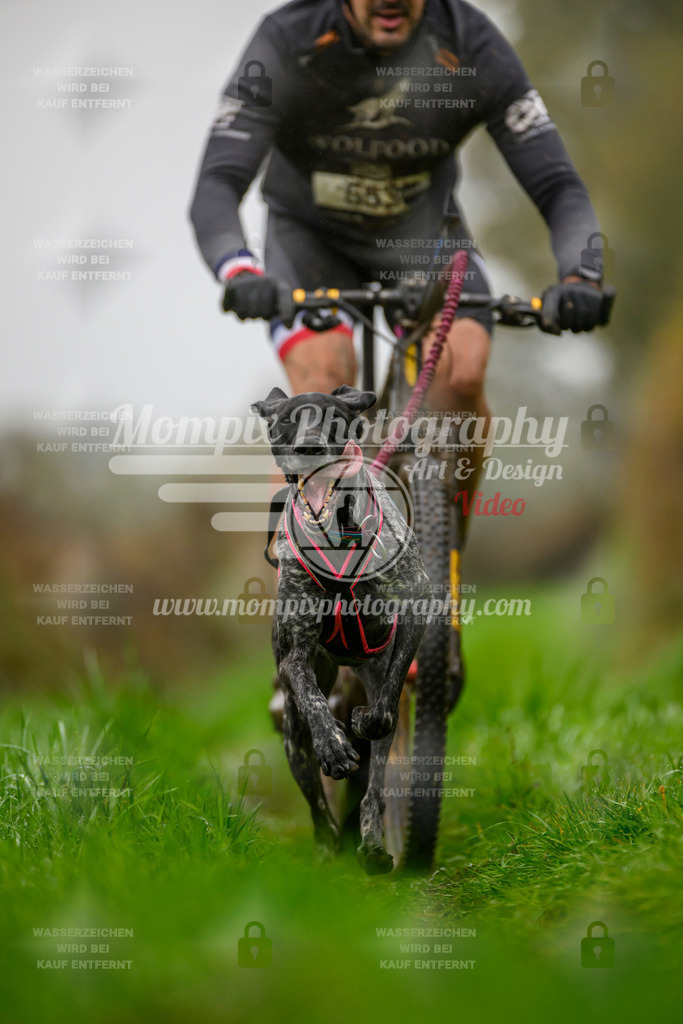 MompixPhotography_20TSB_E8_Bike-59 | PayLife