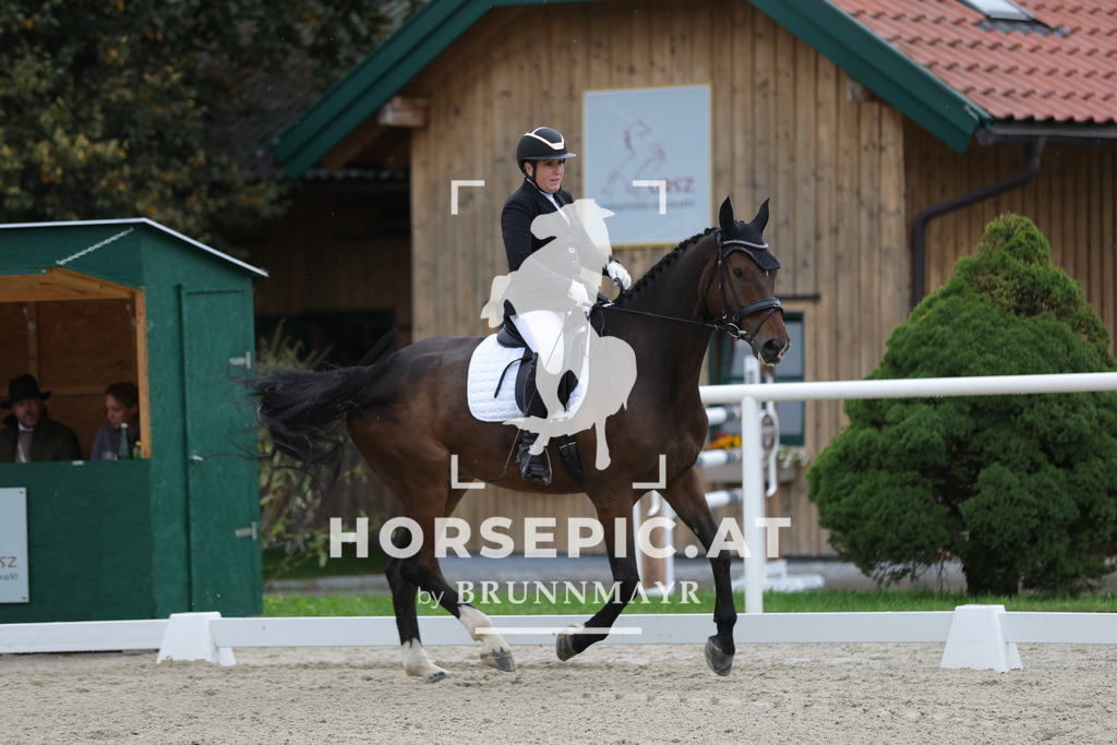 0P6A8017 | Willkommen bei Brunnmayr - Design & Fotografie – Ihrem Spezialisten für Reitturniere und Pferdeveranstaltungen in Oberösterreich, Salzburg und Bayern! Seit über 17 Jahren sind wir leidenschaftlich dabei.