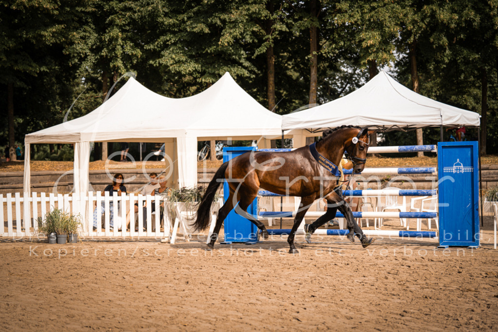 FrER00230 | Leoni Ertmer Photography - Realisiert mit Pictrs.com