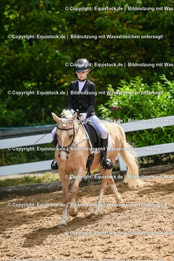 20230716_10-3_Reiter-WB Schritt - Trab - Galopp_0115 | equistock