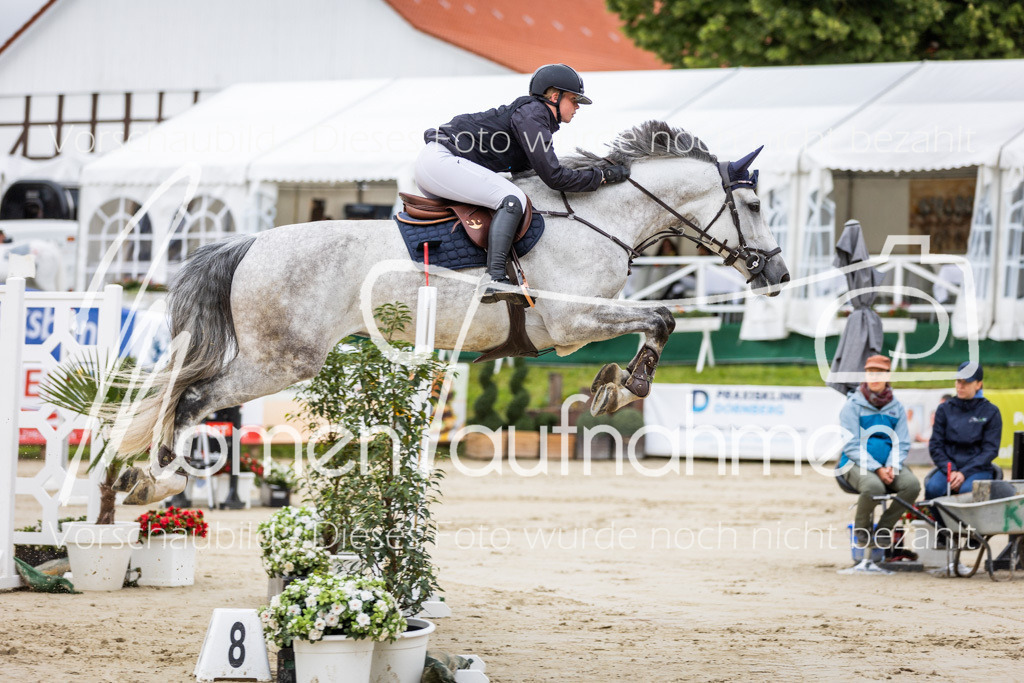 BHO-2PhSpr-M-5-2057 | MomenTaufnahmen Pferdesportfotos