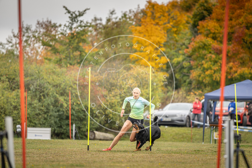 Pfotenfotografie_DV3A4133 | Hundefotografie, Tierfotograf, Pfotenfotografie, Fotoshooting Hund, Hunde Portrait, Hundesport, Hundeportraits, Heideshooting, Hunde, Sportfotograf, Hundefotograf, Turnierhundsport, THS,  - Realisiert mit Pictrs.com
