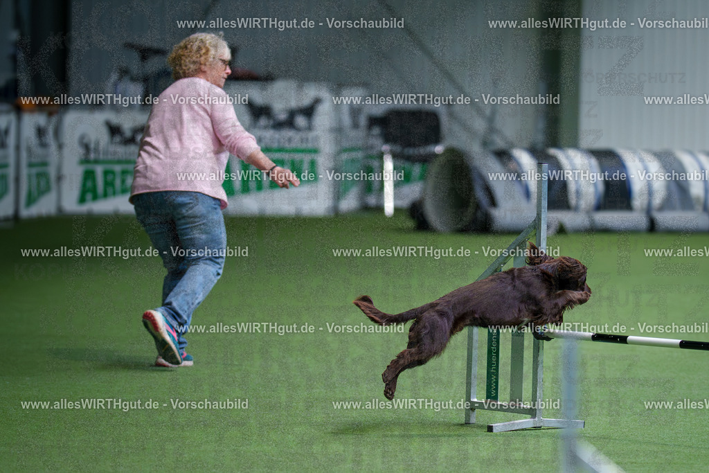 @allesWIRTHgut_Tierfotografie - www.allesWIRTHgut.de - 2604260826-7R506894 | Professionelle Tierfotografie in Mönchengladbach von Daniel Wirth (allesWIRTHgut). Liebevolle & natürliche Bilder von Hunden & Katzen für unvergessliche Erinnerungen.