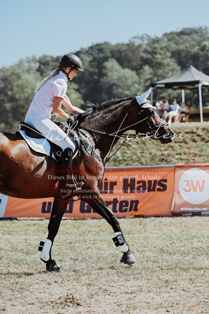 DSC_9745 | Pferde- und Turnierfotografie in Westsachsen. Pferdeportraits, Auftragszeichnungen und intuitive Kunst.