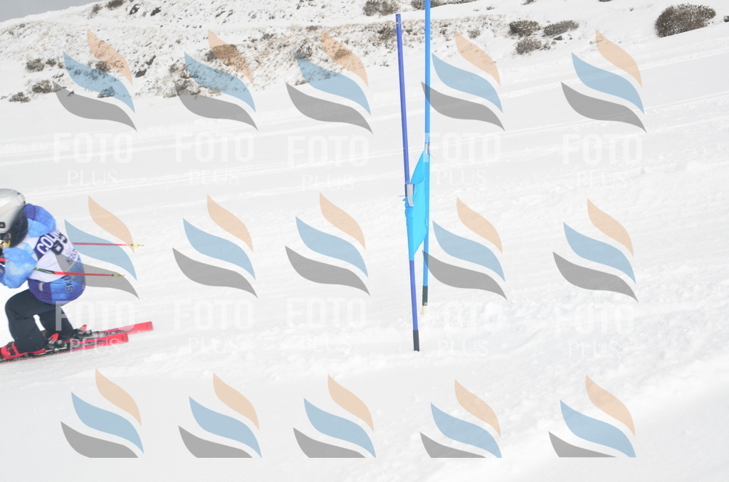 A5569 | holidayphoto