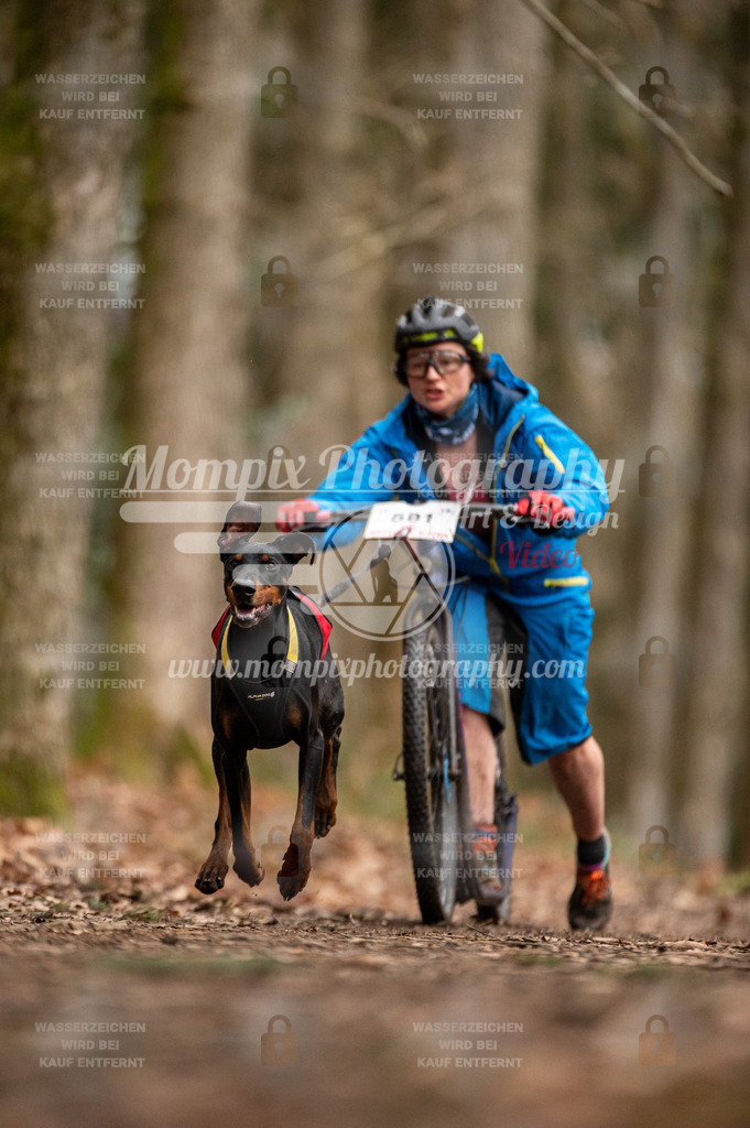 SPA_2023_DIM_Scooter-57 | PayLife