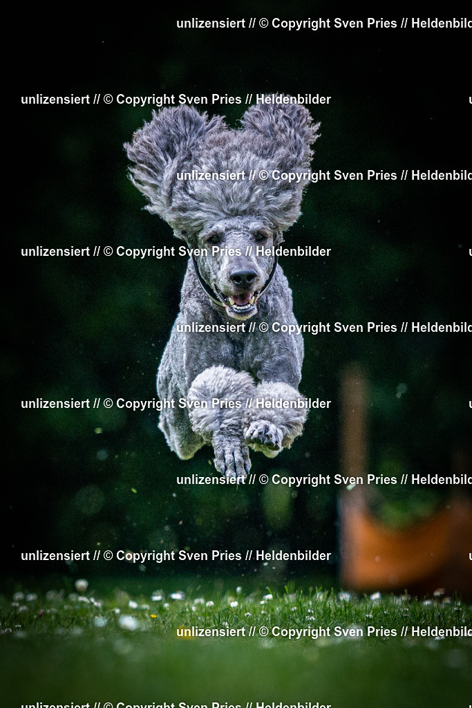 Sven Pries | 2025-05-29 - Pudelrennen KA-Durlach - Realisiert mit Pictrs.com