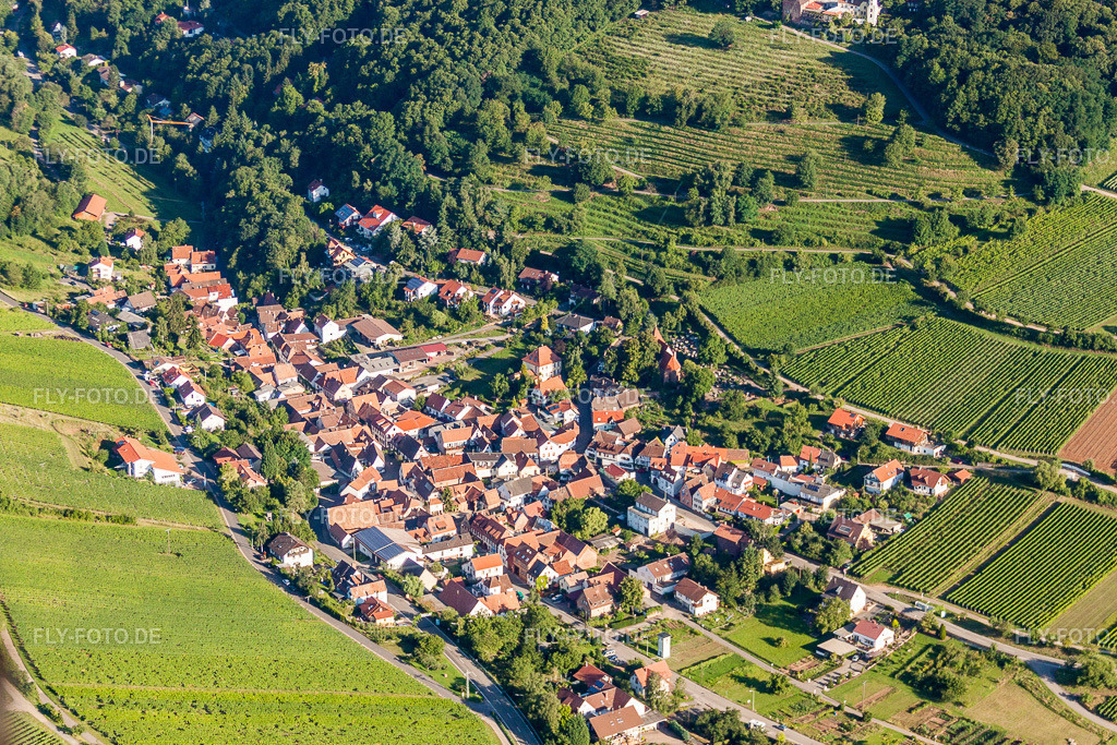 Dorf - Ansicht am Rande von landwirtschaftlichen Feldern und Nutzflächen | Luftbild: Dorf - Ansicht am Rande von landwirtschaftlichen Feldern und Nutzflächen in Leinsweiler im Bundesland Rheinland-Pfalz in Deutschland. Foto: IMG_30933.jpg vom 07.08.2010 durch Werner Riehm/FLY-FOTO.de - Realisiert mit Pictrs.com